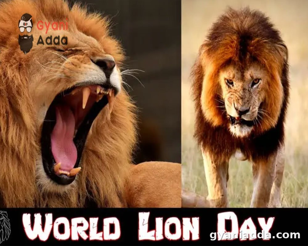 World Lion Day wishes