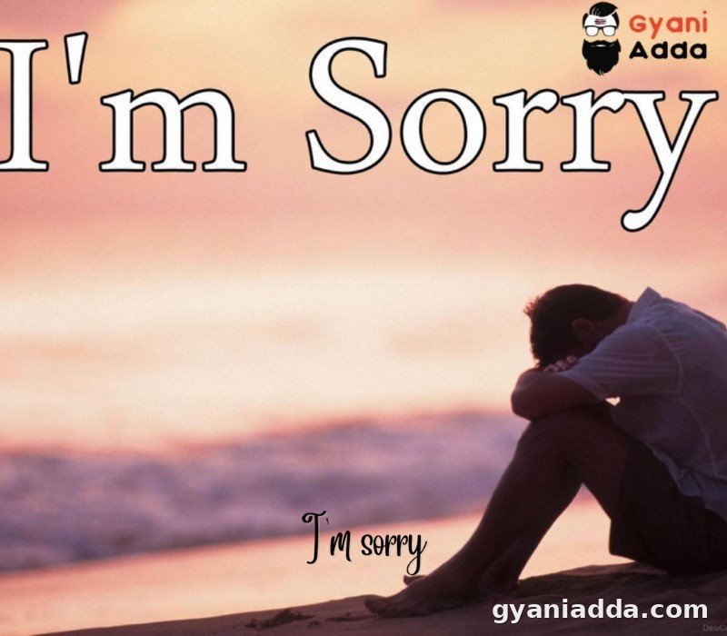 Sorry Quotes For Parents