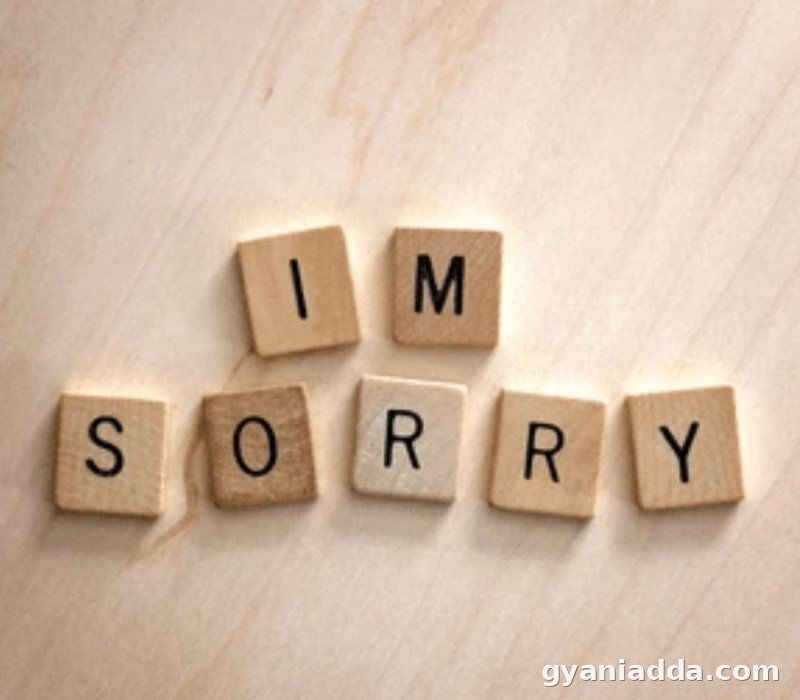 Sorry Quotes In Hindi