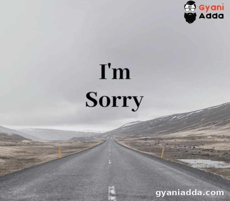 Sorry Quotes To Express Your GF