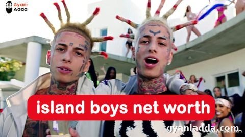 island boys net worth