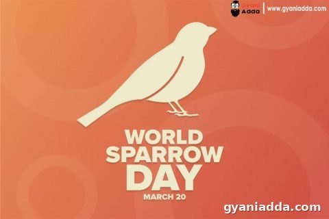 World Sparrow Day
