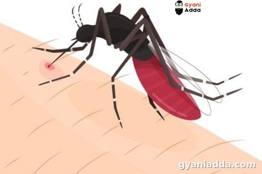 Happy world malaria day