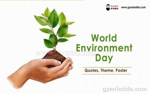 World environment day