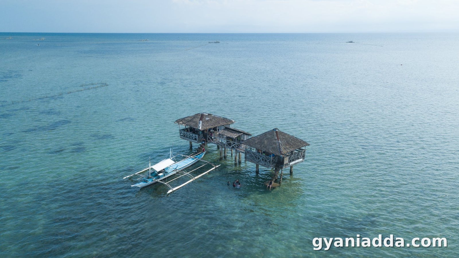 sea landscape nature beach