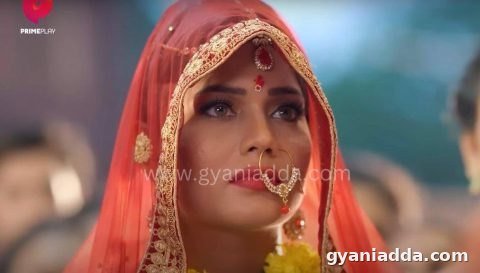 Pehredaar Season 5 web series cast