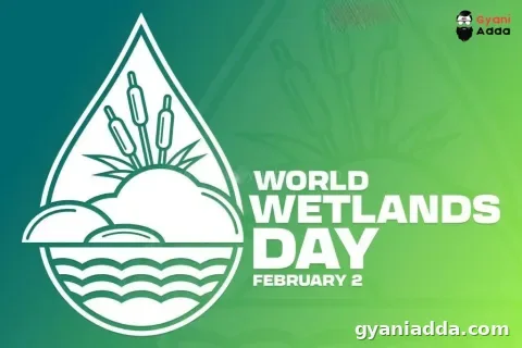 world wetlands day