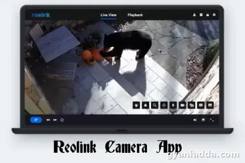 Reolink App Download for PC Windows 10/11 Free