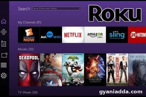 Roku app on pc