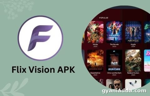 Flix Vision