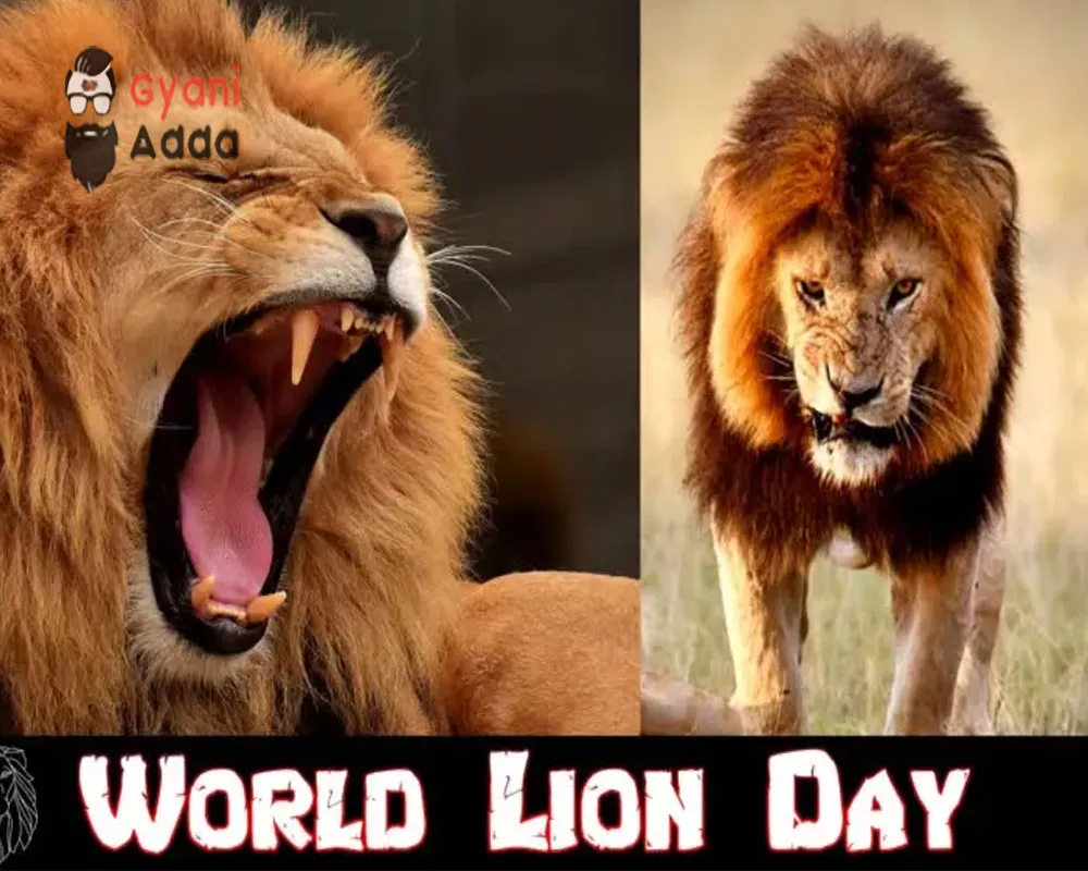 World Lion Day wishes