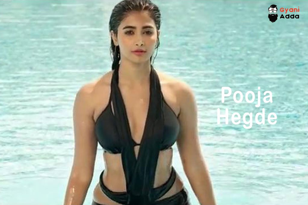 Pooja Hot Sex Video - Pooja Hegde Bikini, Height, Hot Pic, Bio, | Net Worth 2023
