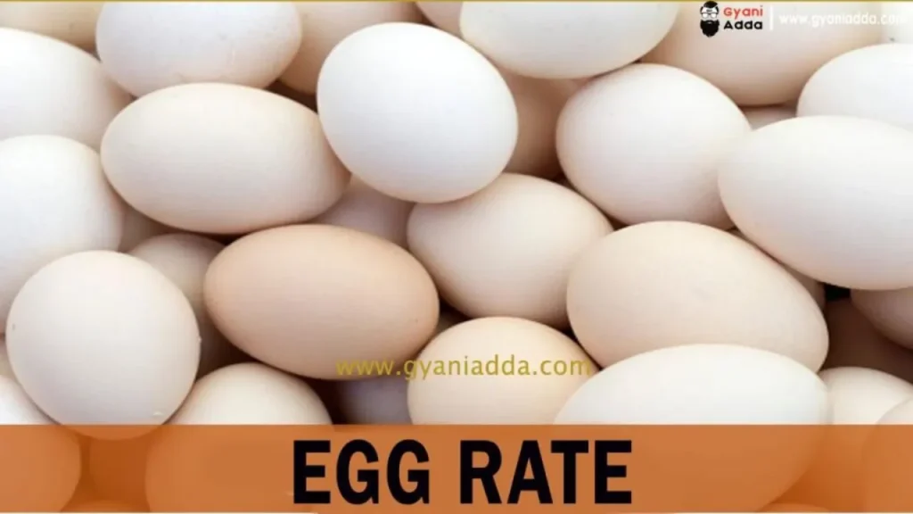 Egg rates in Barwala