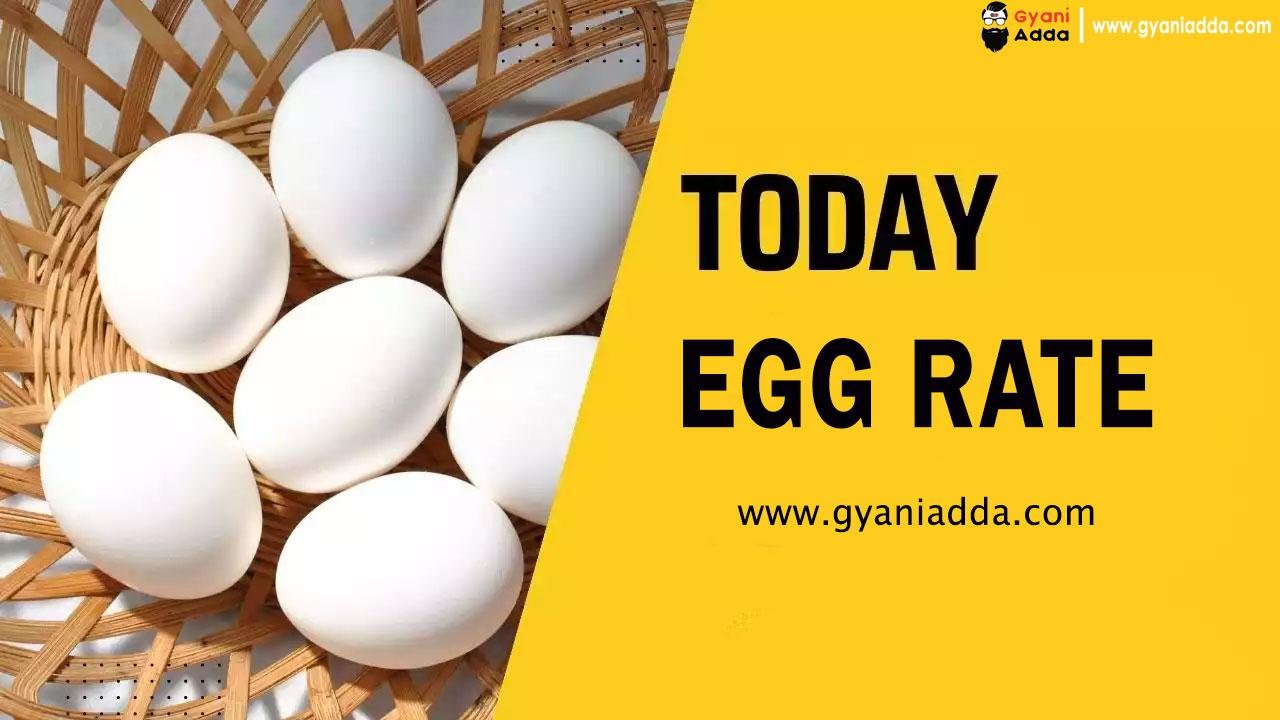Today Egg Rate 2024, NECC Ande Ka Rate, आज का अंडे का भाव