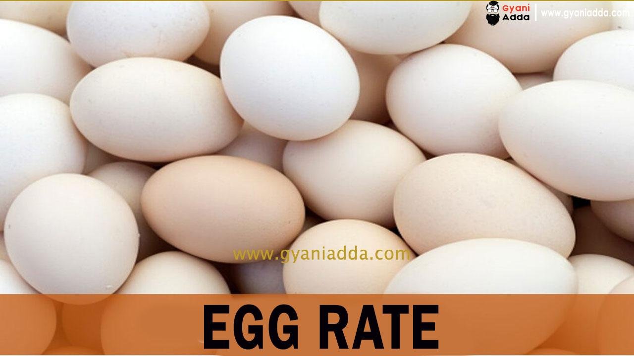 Egg Rates In Barwala Panchkula,today Egg Rate, Necc Egg 2023