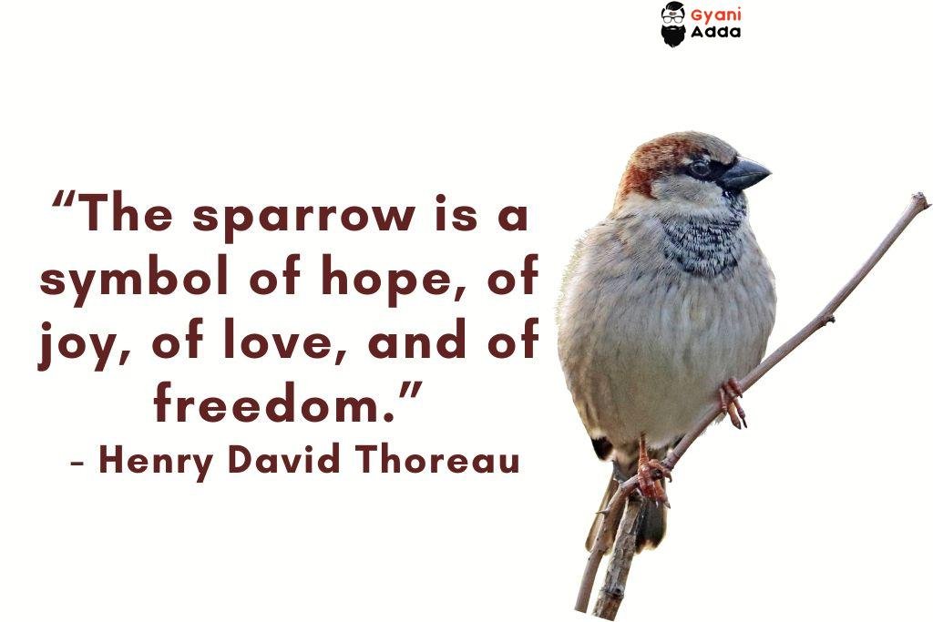 World Sparrow Day quotes