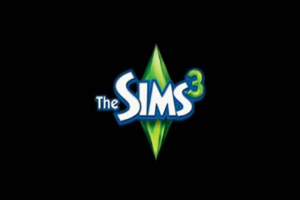 The Sims 3 Game on PC